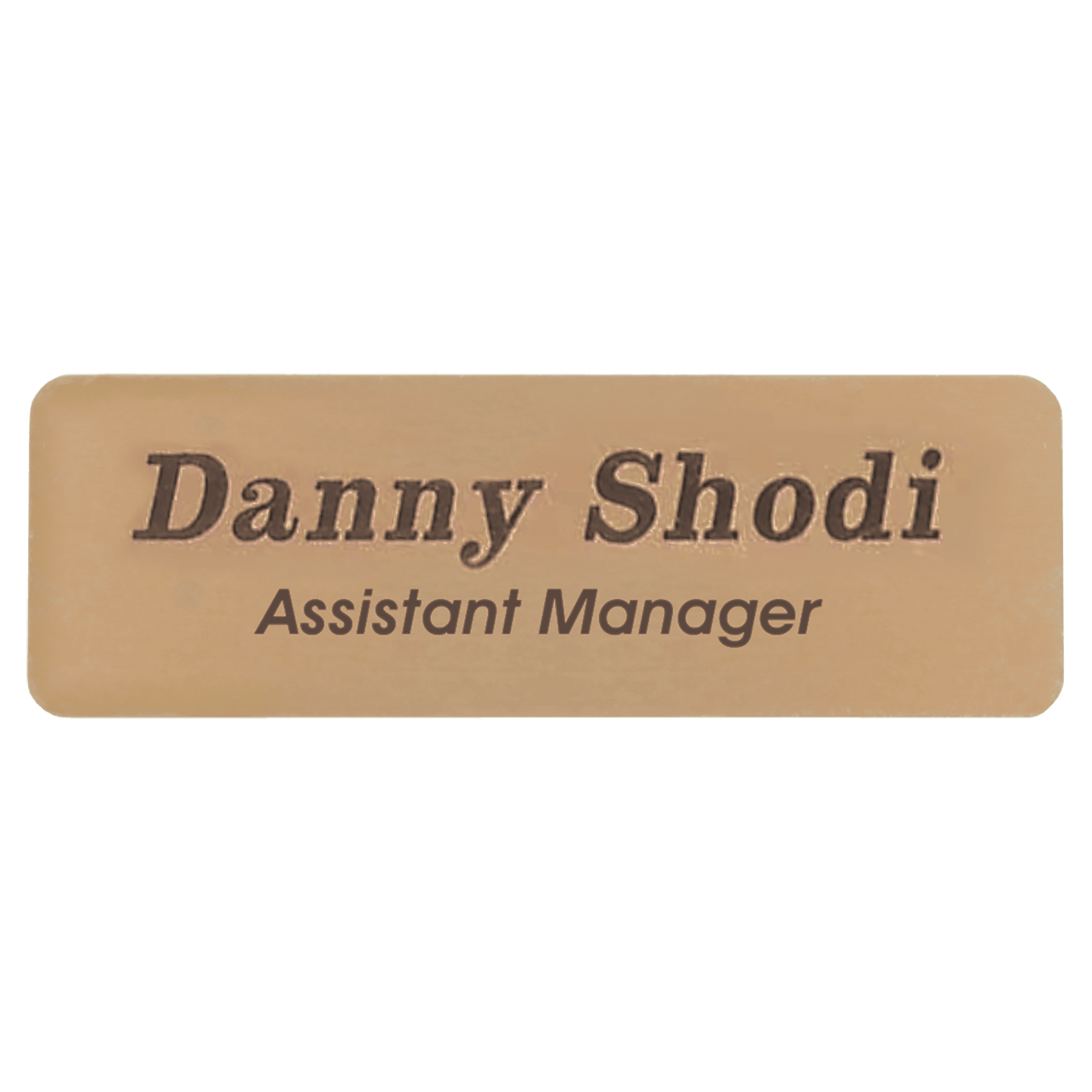 3" x 1" Gold Brass Name Badge Plate