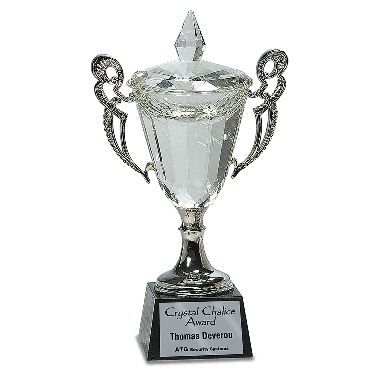 9 1/2" Crystal Cup with Silver Handles and Stem