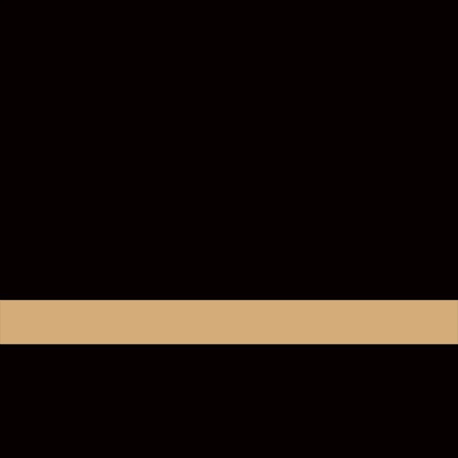 12" x 24" x .004" Brushed Gold/Black JDS UltraThins Plastic w/Adhesive
