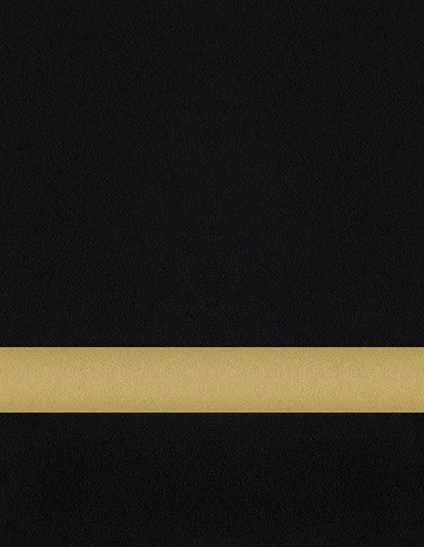 12" x 24" x .020" Gloss Black/Gold Duets Flexible Contours Plastic