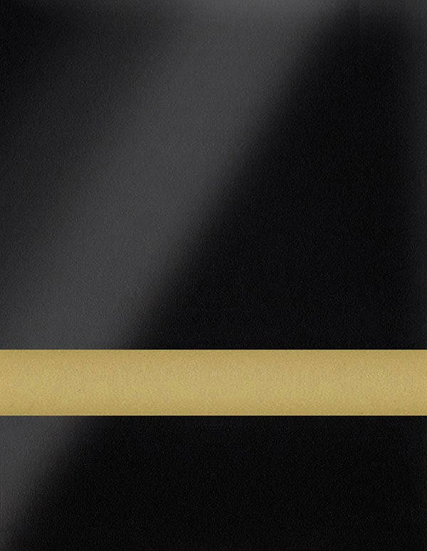 12" x 24" x .020" Black/Gold Duets Flexible Contours Plastic