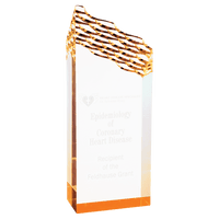Thumbnail for Gold Riptide Acrylic Sample Set
